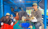 Xuất khẩu nông sản tăng ngay đầu năm, vững tiến tới 65 tỷ USD