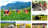 Cơ bản hoàn thành các nhiệm vụ về Chương trình MTQG DTTS của cấp trung ương