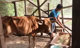 Kiên Giang giải ngân vốn phát triển KT-XH vùng dân tộc thiểu số đạt 29 tỷ đồng