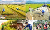 Khẩn trương hoàn thiện thủ tục để giao kế hoạch vốn cho các Chương trình Mục tiêu quốc gia. Ảnh minh họa