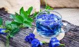 Hoa đậu biếc cực tốt cho sức khoẻ nhưng sẽ thành 'độc dược' nếu uống theo cách này