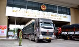 Lào Cai: Ưu tiên cao nhất cho xuất khẩu quả vải thiều sang Trung Quốc