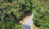 Clip cung đường chạy Tiền Phong Marathon 2023