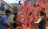 Công nhân ăn Tết xa quê: Nấu nồi thịt kho trứng đón ông bà