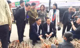 Bộ trưởng Công Thương mua gà, kiểm tra tình hình giá cả thị trường ngày 29 Tết tại Lạng Sơn