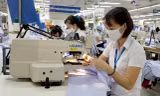 Tìm cơ hội giao thương, đầu tư nguyên phụ liệu cho doanh nghiệp dệt may, in thêu