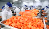 Nhiều mặt hàng xuất khẩu của Việt Nam sẽ có lợi thế nhưng cũng sẽ chịu cạnh tranh hơn khi vào EU