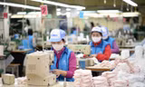 Nhiều doanh nghiệp dệt may dồn sức sản xuất khẩu trang để cung cấp cho thị trường