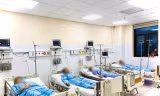 Cả nhà ngộ độc nấm, 1 người chết, 5 người cấp cứu tại bệnh viện