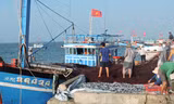 Tàu cá của ngư dân Nguyễn Văn Tri cập đảo sau một đêm bám biển, bám ngư trường ven đảo.