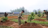 Chiến đấu viên Đội 11, Liên đội Đặc công 9 chăm sóc vườn cây ăn quả.