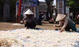 Người dân huyện đảo Lý Sơn phơi rau câu vừa được khai thác từ vùng biển Hoàng Sa mang về chuẩn bị bán ra thị trường dịp Tết. Ảnh: Trí Tín/ VnExpress