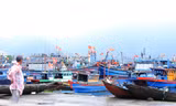 Tàu thuyền neo đậu san sát ở cảng cá lớn nhất miền Trung trước giờ bão đổ bộ