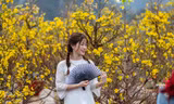 Giới trẻ Hạ Long đổ ra chợ hoa xuân chụp ảnh 