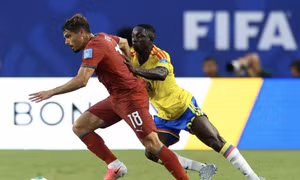 Trực tiếp New Zealand vs Bỉ 0-2 (H2): Trossard lập cú đúp