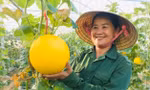 Nghệ An tích cực đưa nghị quyết vào cuộc sống