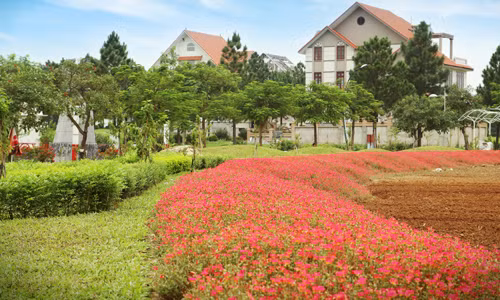 Sống tại ngoại ô đang trở thành xu thế lựa chọn của các nước đang phát triển