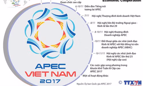 [Infographics] Những hoạt động chính trong Tuần lễ Cấp cao APEC 2017