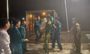 Hình ảnh di dời người dân ra khỏi vùng ngập úng do thủy điện Trị An xả lũ