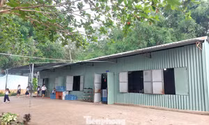 Trường học tạm bợ giữa lòng TPHCM: Mỗi ngày con đi học là một ngày 'bất an'