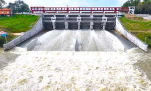 Hồ Dầu Tiếng xả lũ, triều cường trên báo động 2, đề phòng ngập úng