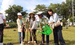 Tặng cây xanh, thùng rác cho Lữ đoàn 167
