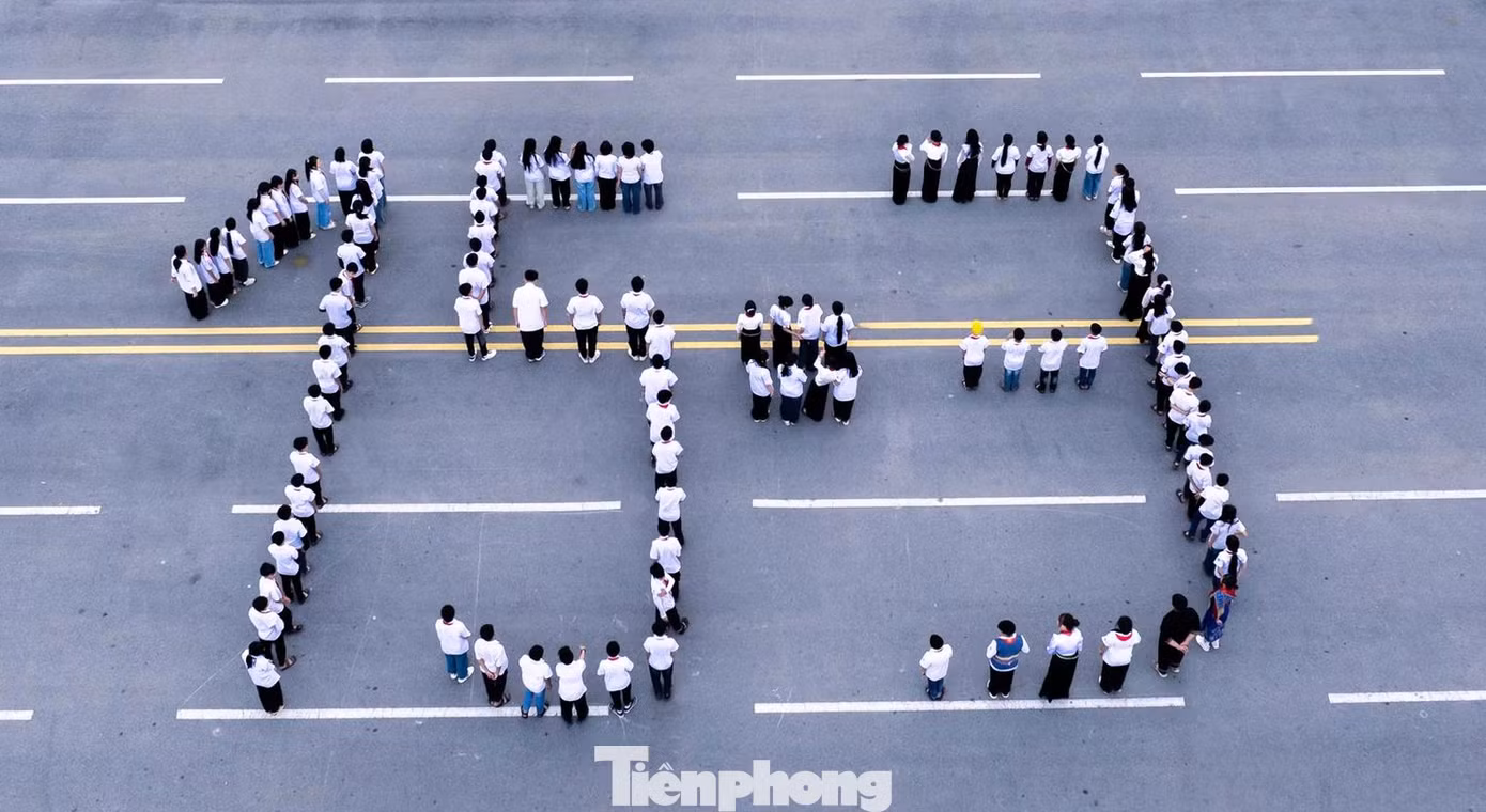 tp-5.jpg