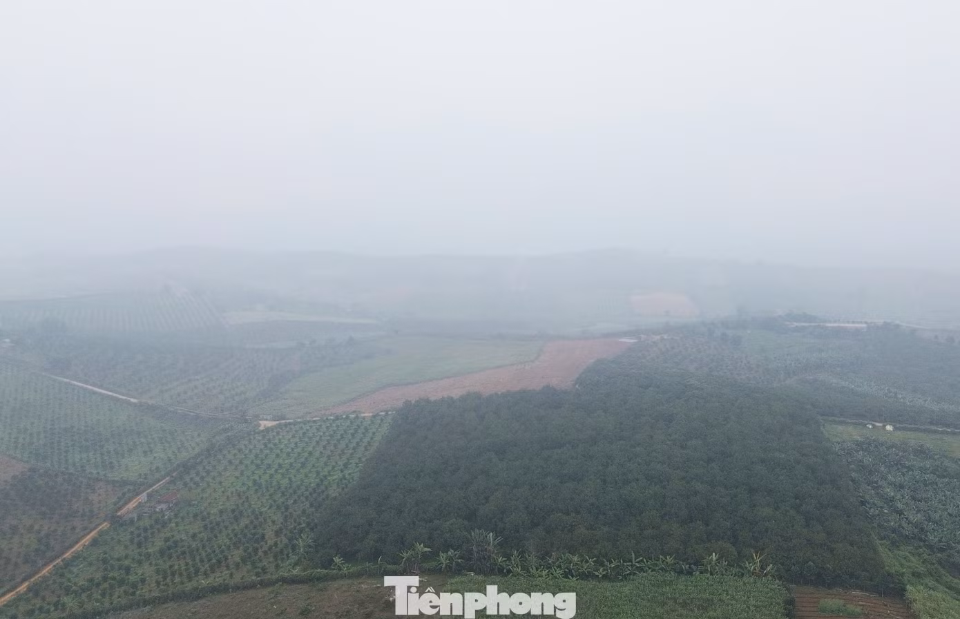 tp-1.jpg