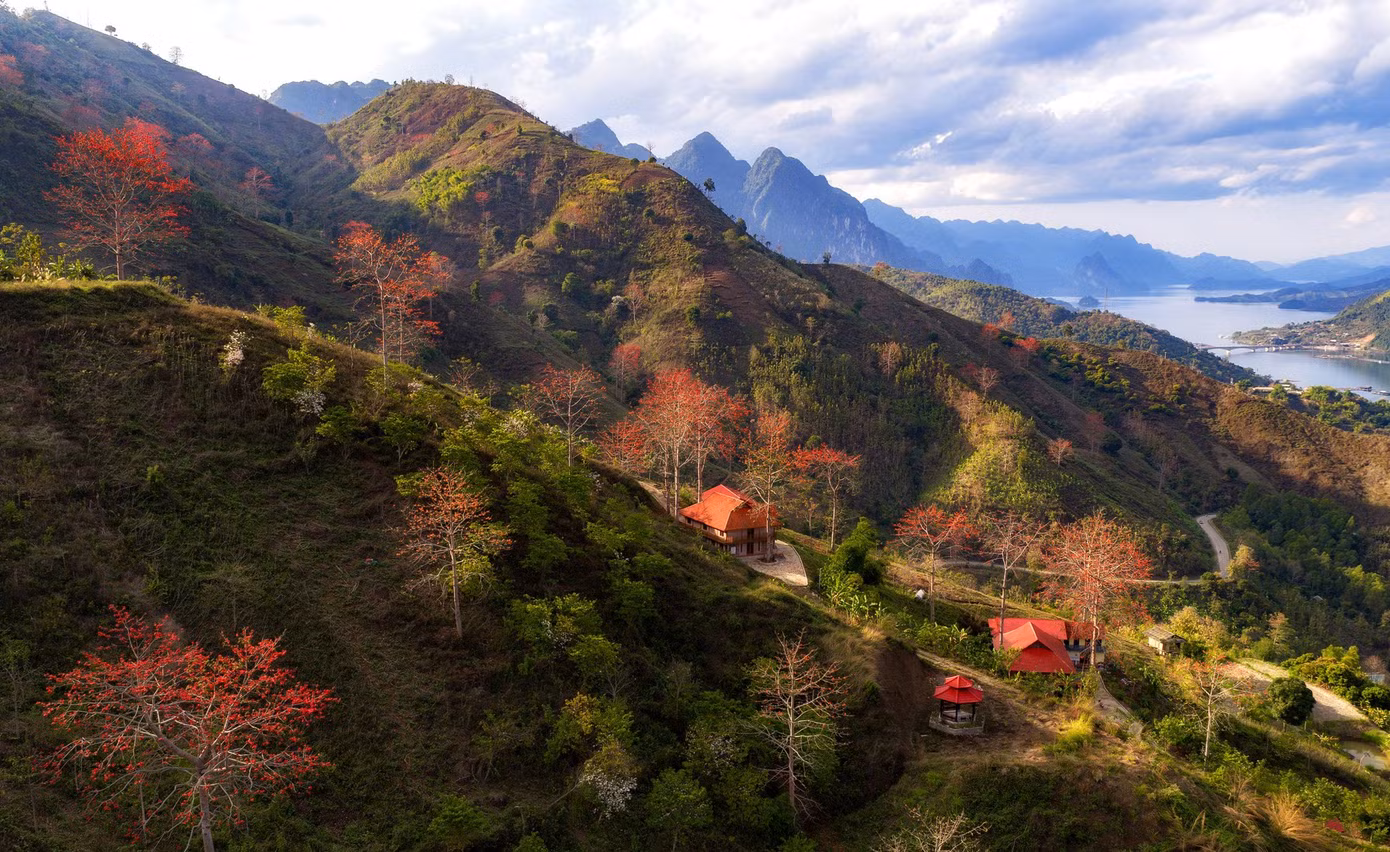 a10.jpg