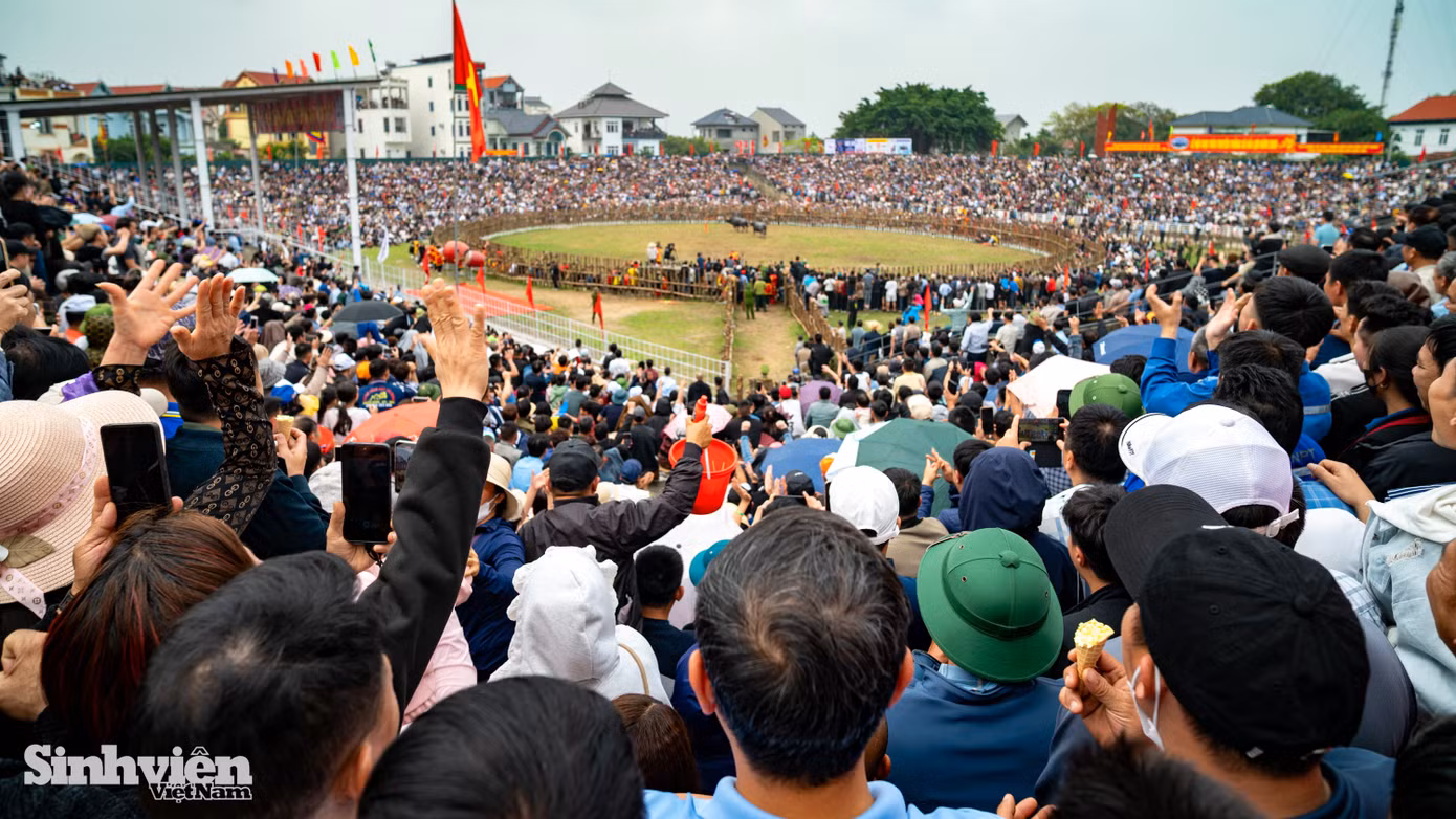 choi-trau-hai-luu-6.jpg
