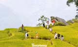 Du khách đổ về Y Tý, đắm chìm với ruộng bậc thang đẹp nhất Tây Bắc