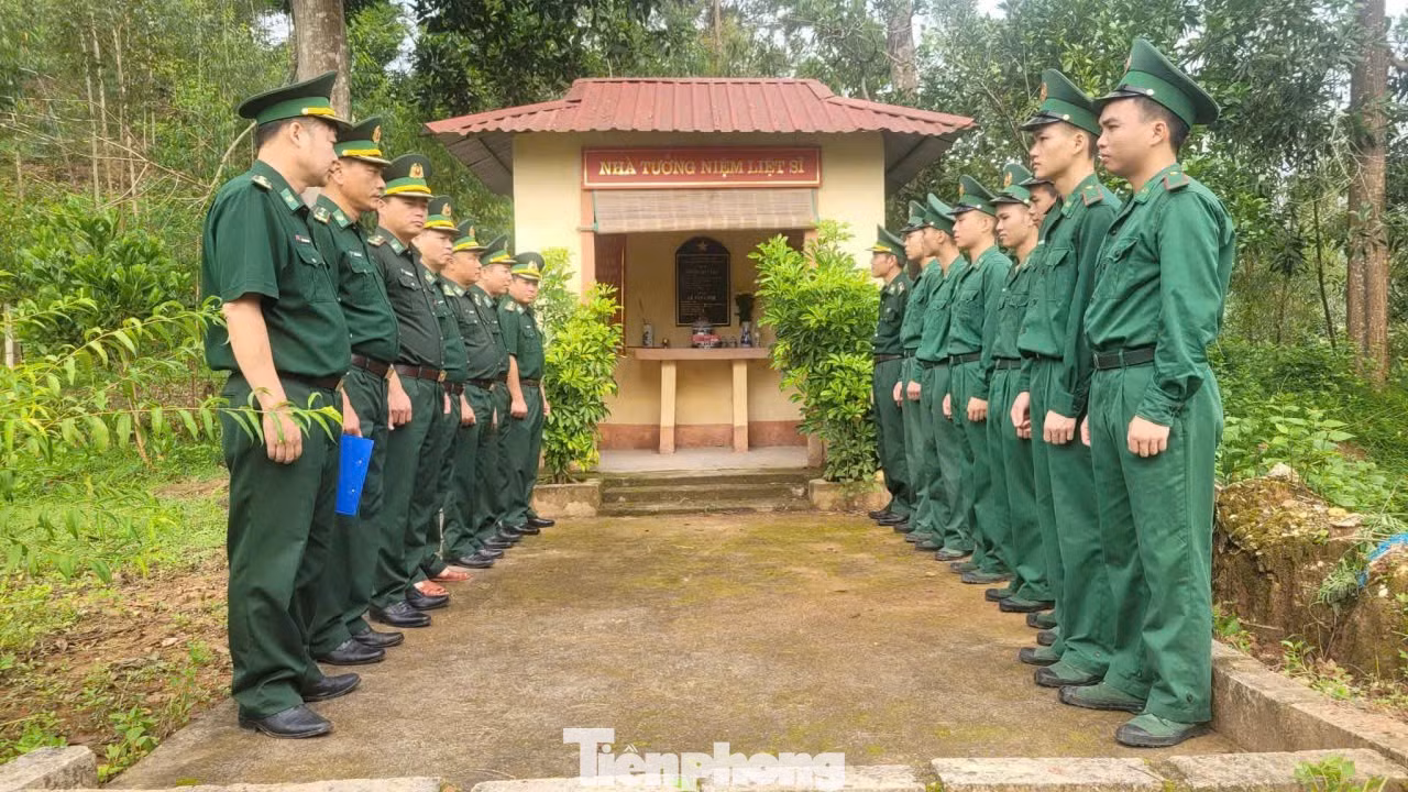 tp-b2.jpg