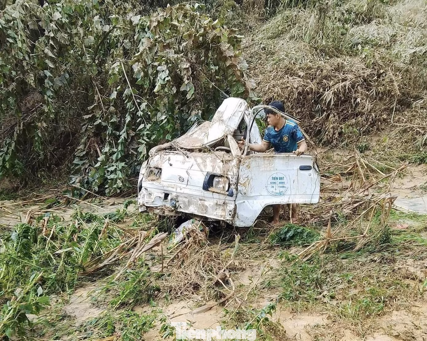 tp-v6.jpg