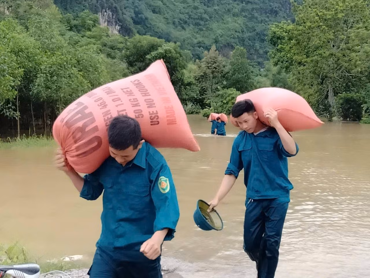 v7.jpg