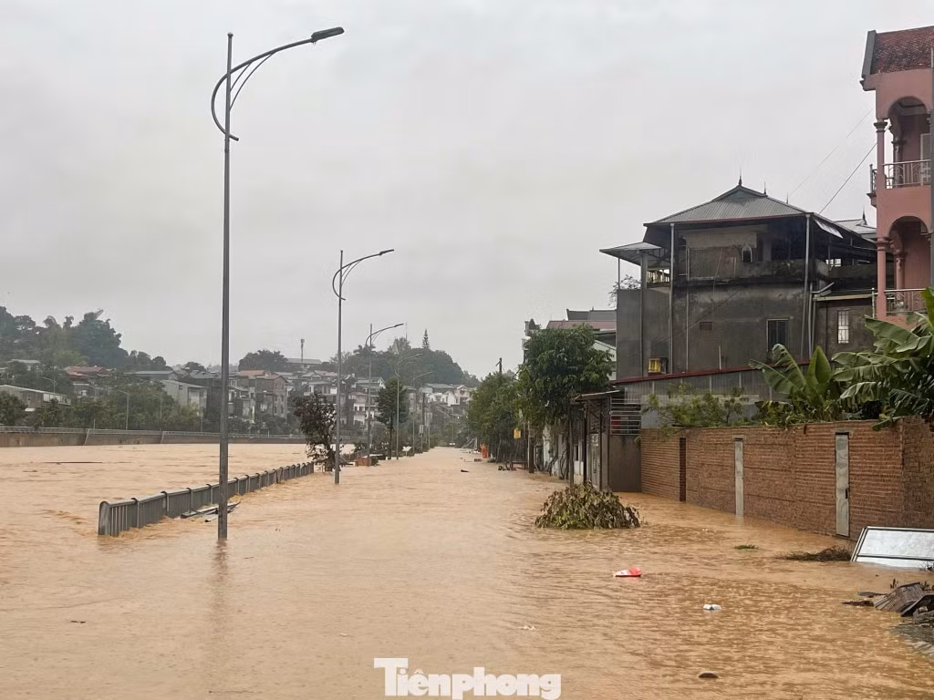 tp-2.jpg