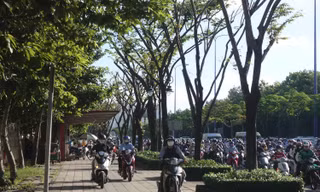 Sắp có làn riêng cho xe đạp ở TPHCM