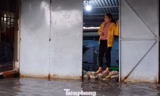 Vật vã 'be bờ, tát nước' bên cạnh dự án chống ngập 10.000 tỷ
