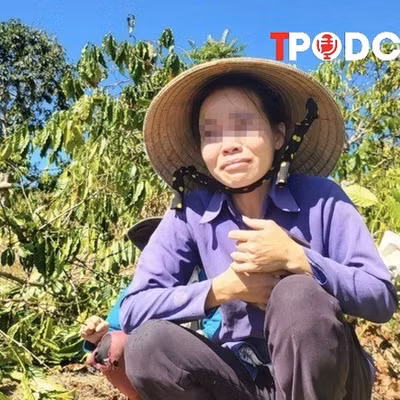 NÓNG 19/9: Diễn biến bất ngờ vụ anh rể phá hoại vườn cây của em vợ vì 'mâu thuẫn tình cảm'
