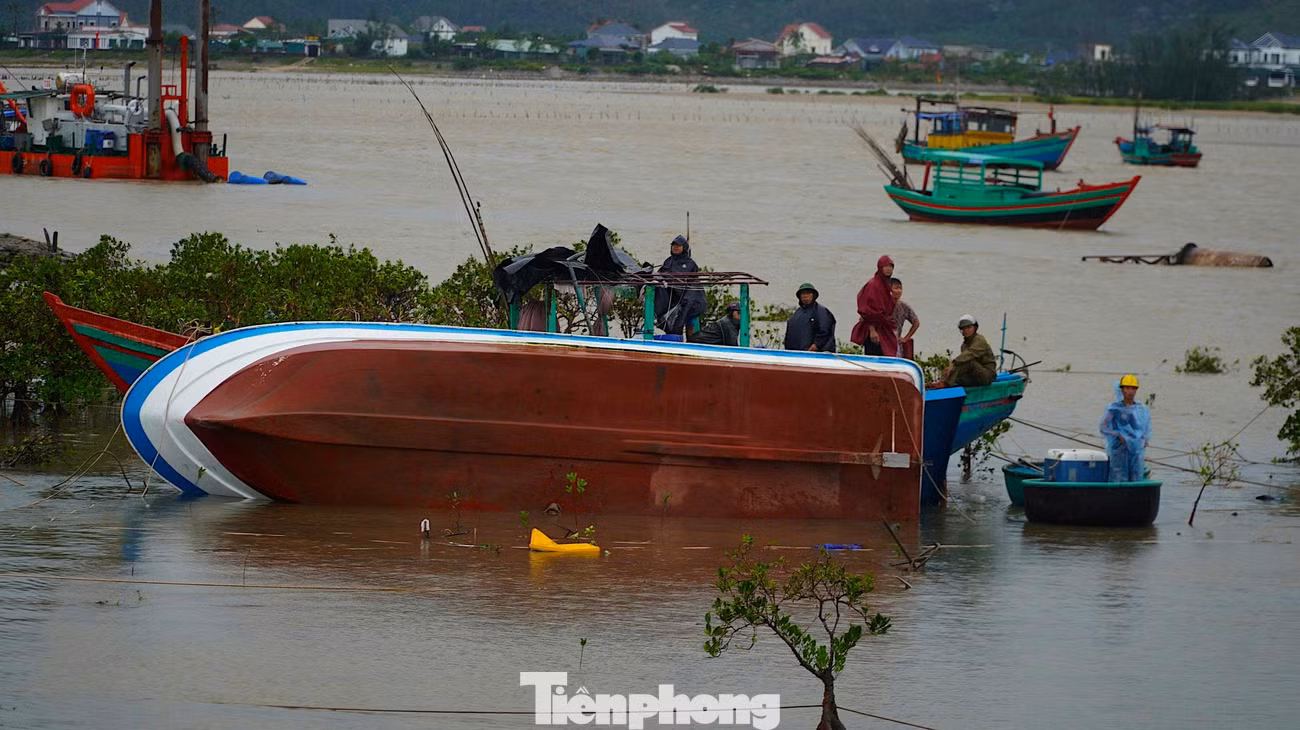 tp-anh-b.jpg