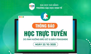 Nhiều trường đại học ở Đà Nẵng đồng loạt chuyển sang học trực tuyến trước ảnh hưởng của bão số 12 