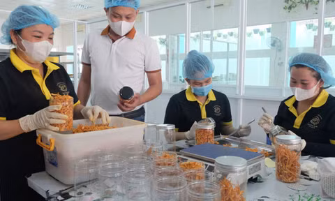 Thanh niên đối mặt rủi ro việc làm từ làn sóng trí tuệ nhân tạo