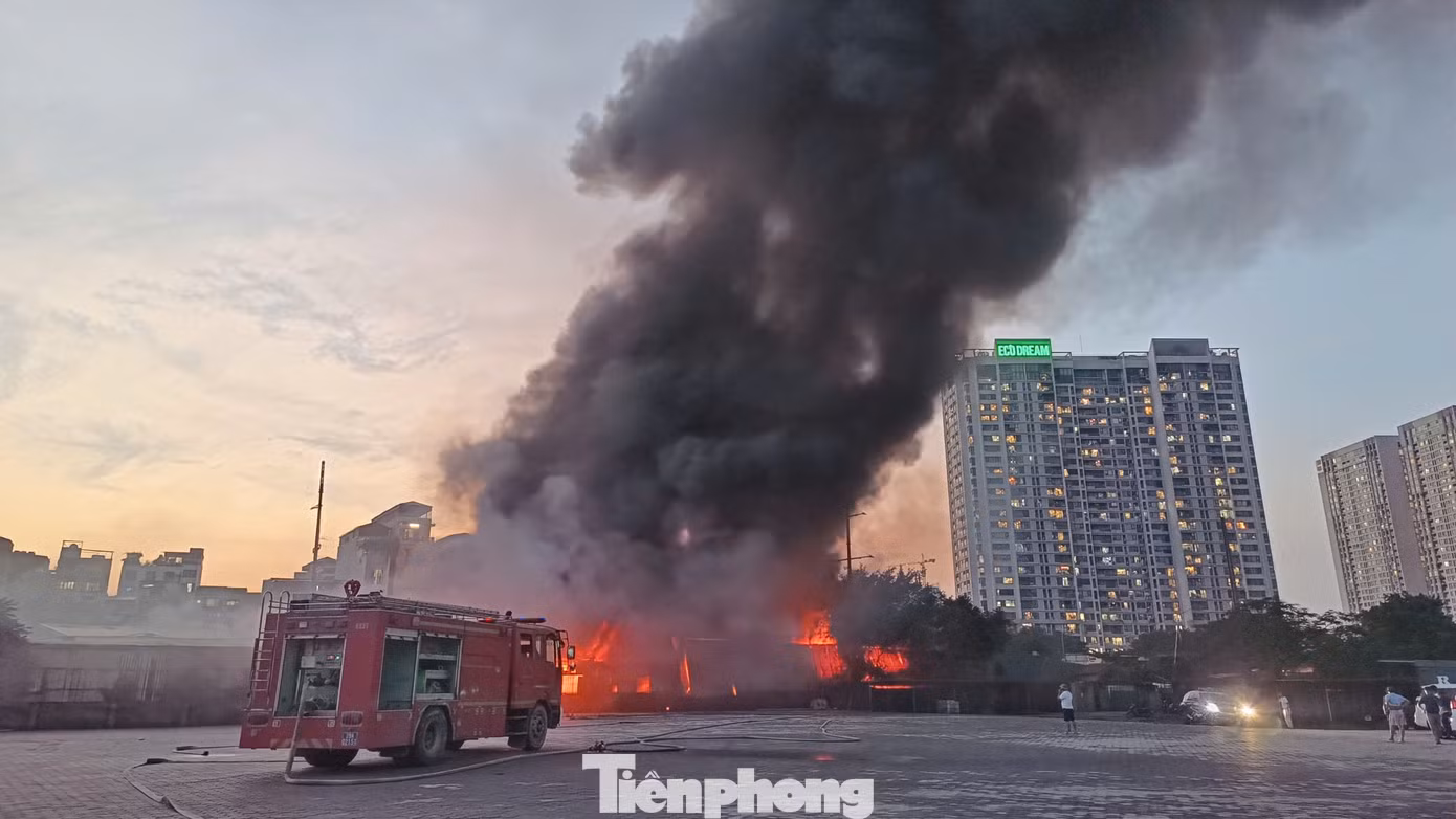 tp-c_2aoboqmt6zcjptsqknrvuj0yjkbjmtx48kfoqiua.jpg