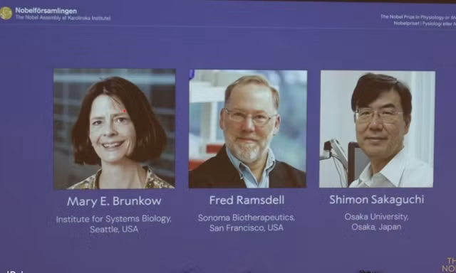 Ba chuyên gia miễn dịch ẵm giải Nobel Y học 2025