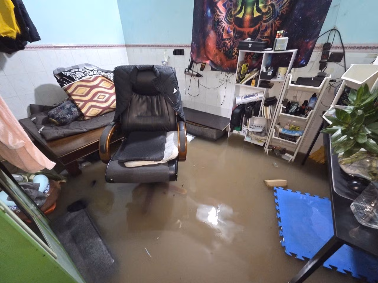 571120746-834957292262252-2996194099238263429-n.jpg