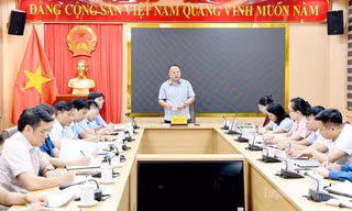 Chủ tịch tỉnh Tuyên Quang chỉ đạo rà soát toàn bộ quy trình thi sau nghi vấn phổ điểm Toán