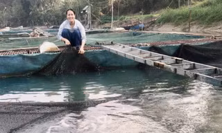 Cô gái 9X tiên phong đưa nghề nuôi cá lồng về dòng Phó Đáy
