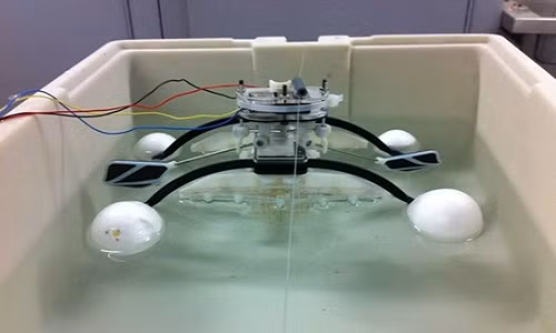 Robot với kích thước 30 cm lọc tảo trong nước để làm thức ăn. Ảnh: Đại học Bristol.
