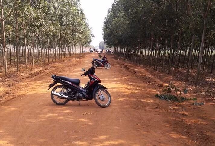 Nơi phát hiện nhiều dấu vết, nghi ngờ là nơi nạn nhân bị tấn công