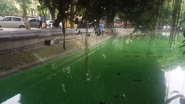 Công ty Thoát nước Hà Nội cho biết, thời gian đầu sau nạo vét tảo độc có thể xảy ra ở hồ Hoàn Kiếm (Ảnh: Nguyễn Dương)