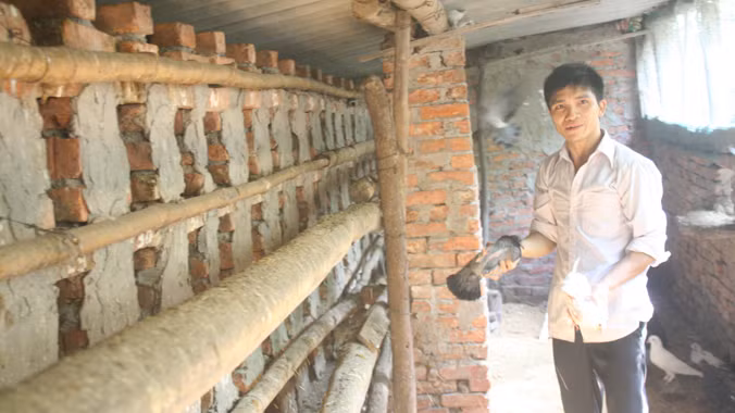 Hưng trong chuồng bồ câu Pháp của mình